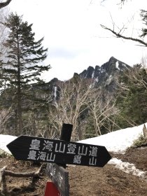 写真 2019-04-29 10 11